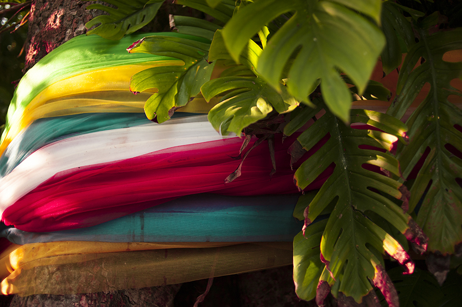 Tajlandia to przede wszystkim kolory. Kolory wody, piasku, ptaków, owoców, ale także przestrzeni tworzonej przez samych Tajów. Bogato ozdabiają swoje łódki, obwiązują drzewa kolorowymi wstęgami, malują domy na różowo.