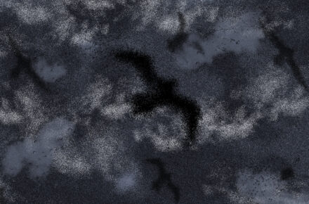 Ilustracja przedsrawia czarne zarysy ptakó na tle ciemnego, zachmurzonego nieba