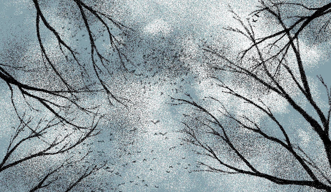 Ilustracja przedstawia niebo częściowo zasłonięte przez czarne gałęzie i grupę latających wysoko ptaków